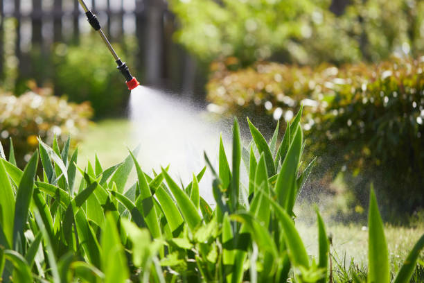 24/7 Emergency Cockroach Control experts in Crystal Falls, MI