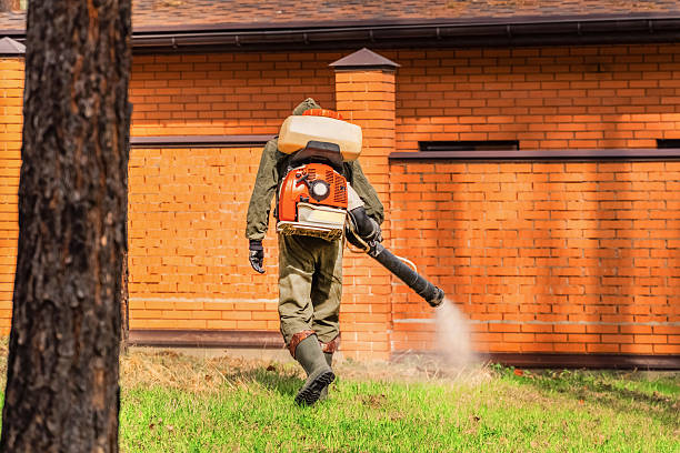 Top rated local Cockroach Control specialists in Crystal Falls, MI